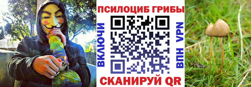 Псилоцибиновые грибы ЛСД  Нюрба 